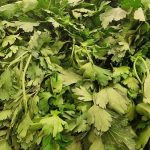 Zakaj zelišča v olju ostanejo sveža vso zimo: skrivnost italijanskih kuharjev zakaj-zelisca-v-olju-ostanejo-sveza-vso-zimo-skrivnost-italijanskih.jpg